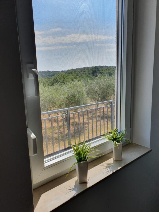 Apartma Zdenko イゾラ エクステリア 写真