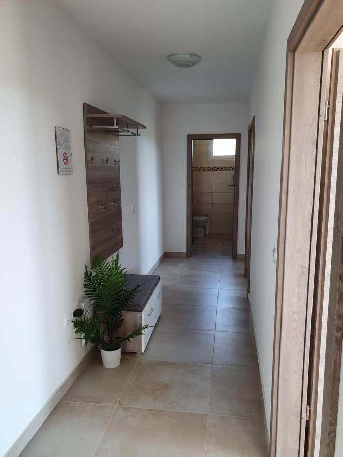 Apartma Zdenko イゾラ エクステリア 写真